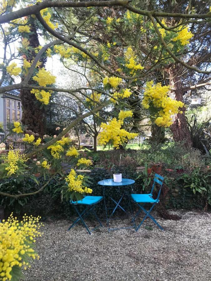 Le Mas Normand Bed and Breakfast Ver-sur-Mer Exterior foto